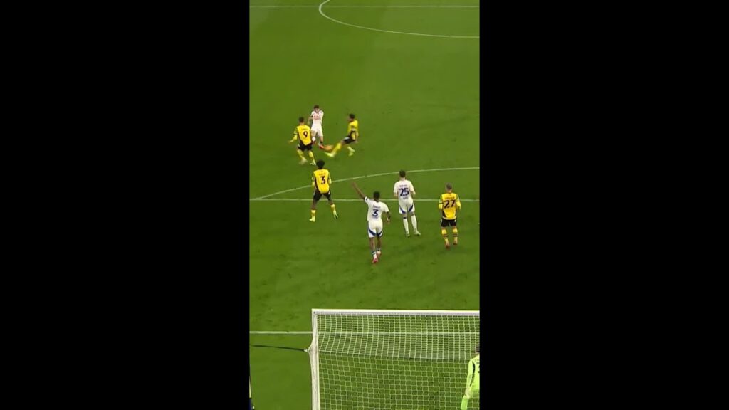 Wonder strike from Dan James! #lufc