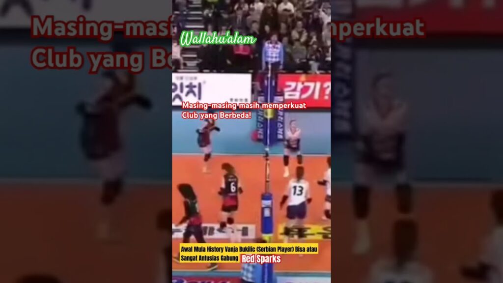 Awal Mula Vanja (Serbian Spiker) Mengakui Kehebatannya Megawati Hangestri Pertiwi