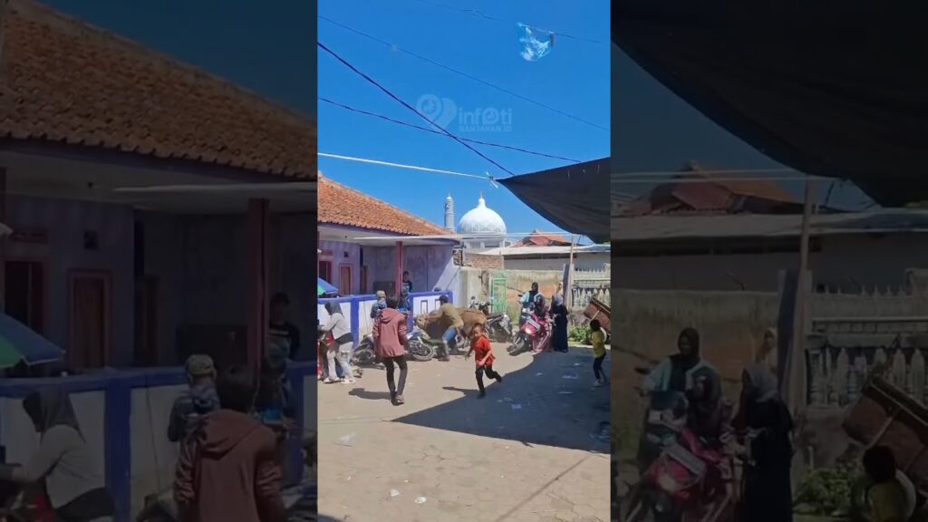 sapi kesurupan ngamuk #sapi #kurban #iduladha #viral #reels #shorts