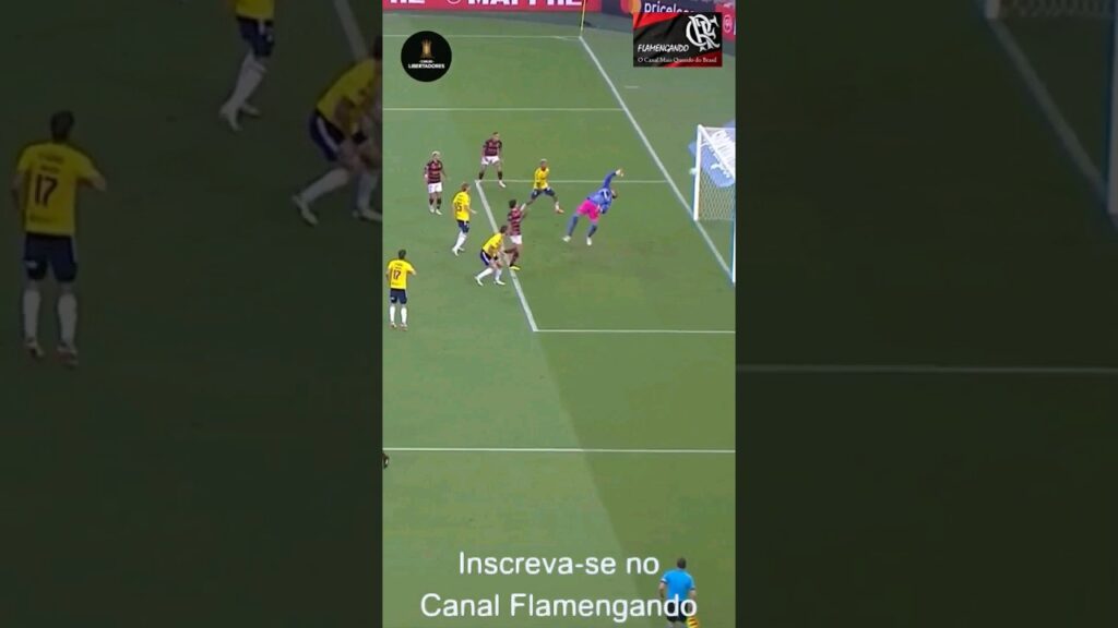 GOL CONTRA DE JUAN PABLO VARGAS, O SEGUNDO DA VITÓRIA DO FLAMENGO POR 3 A 0 SOBRE O MILLONARIOS.