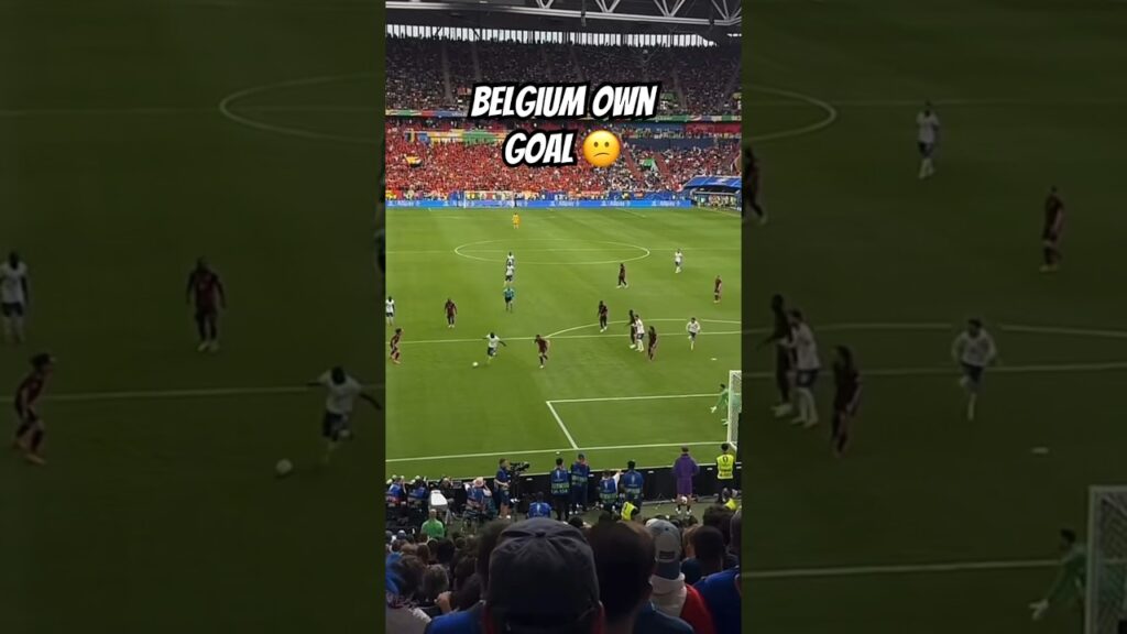Jan Vertonghen Crazy Own Goal vs France! #shorts #football #euro2024 #euros #soccer #soccer #uk