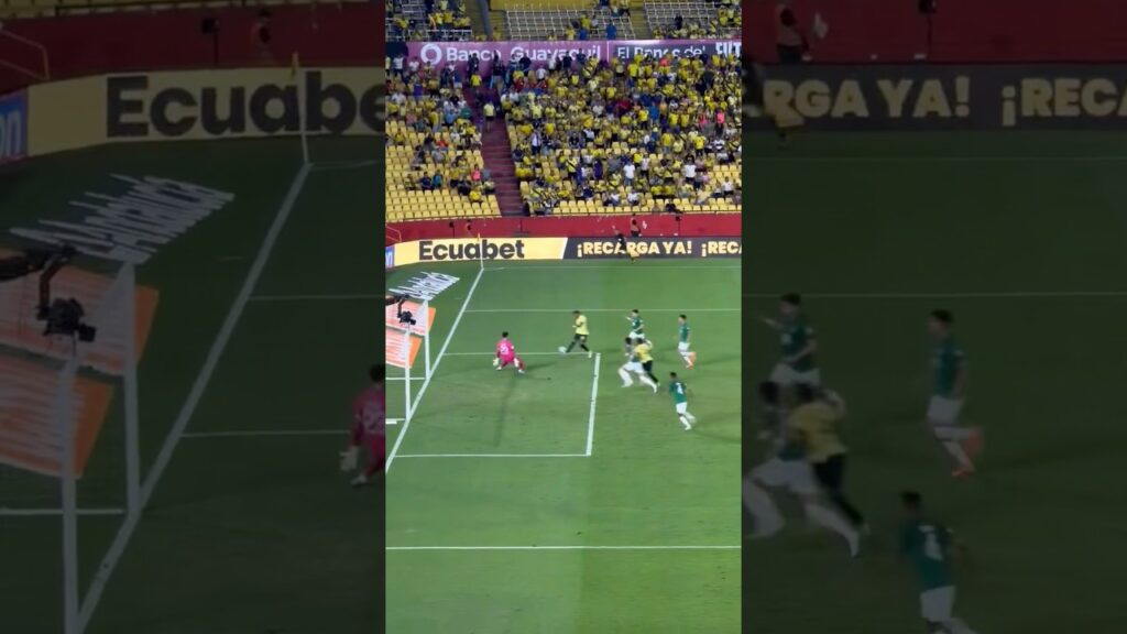 Gonzalo Plata y Enner Valencia destrozan a Bolivia con Ecuador 🇪🇨 un gol cada uno #shorts #ecuador