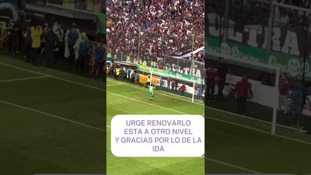 saprissa debe renovar a Esteban alvarado #shorts #saprissa #estebanalvarado