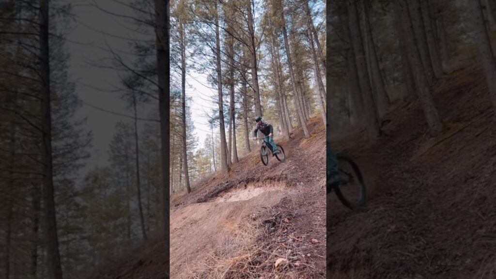 First hits on the trail! #trailbuilding #mtb #bike