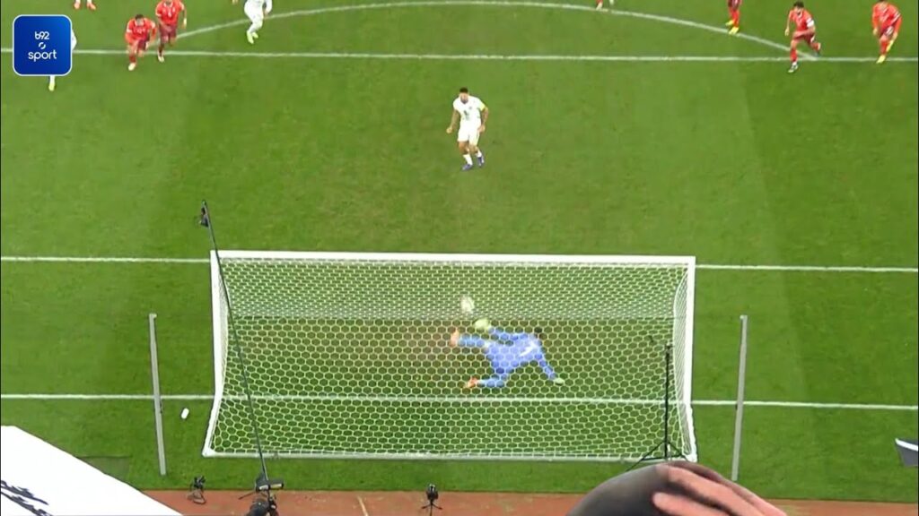 Mitrović Missed penalty,Switzerland vs Serbia (1-1) All Goals and Extended Highlights