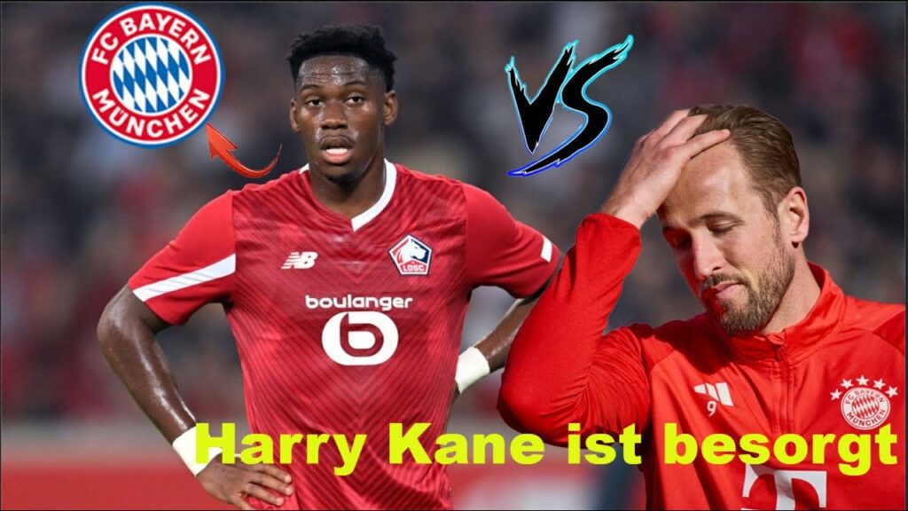 Bayern München will Jonathan David von Lilles verpflichten / Harry Kane ist besorgt