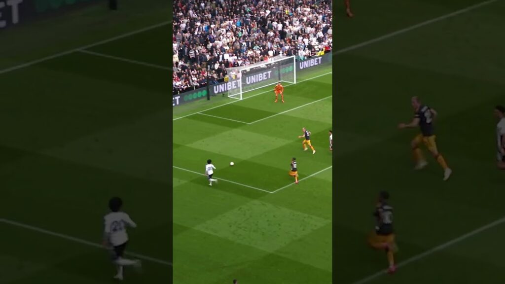 Harry Wilson ROCKET for Fulham! 🚀