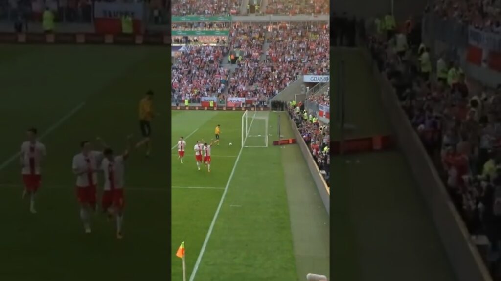 Gol Lewandowskiego, 19 w kadrze Polska 2-1 Litwa #2014 #shorts @LewP.L. #polska #goals #football #PL