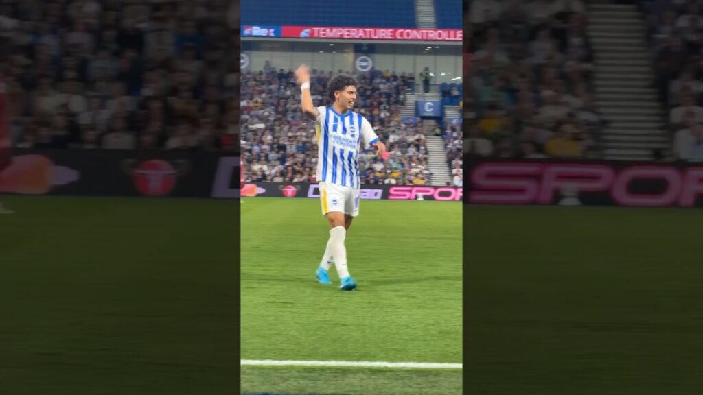 Pitchside with Jeremy Sarmiento - Carabao Cup Highlights Brighton 4-0 Crawley #carabaocup #sarmiento