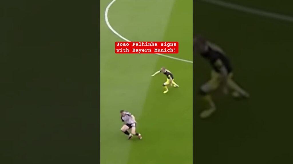 Joao Palhinha signs with Bayern Munich!