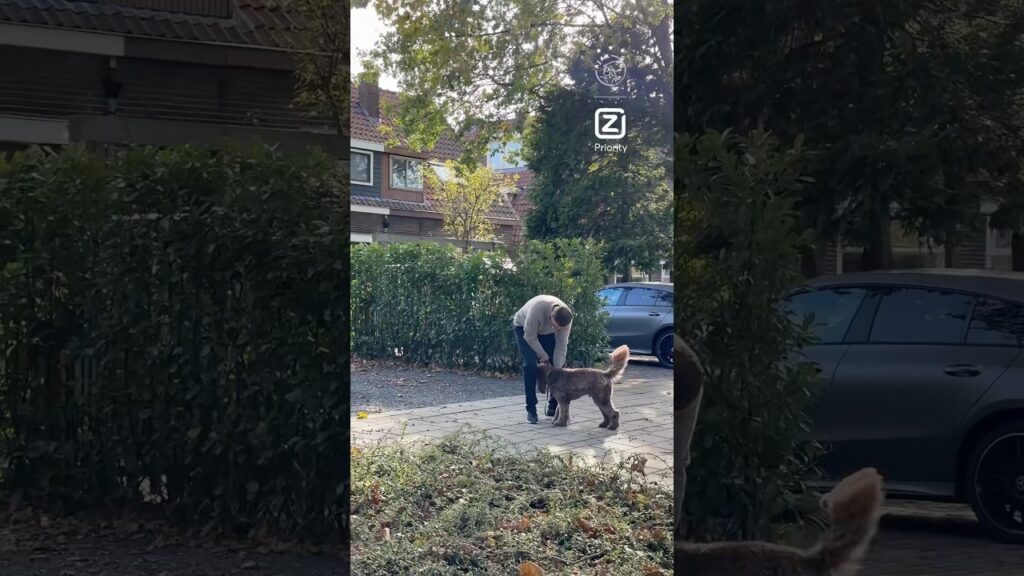 Just Jordan Henderson walking the dog 🐕‍🦺♥️