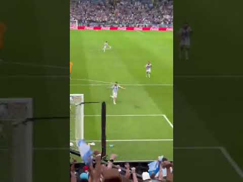 NETHERLANDS vs ARGENTINA - NAHUEL MOLINA GOAL #shorts #short #worldcup2022