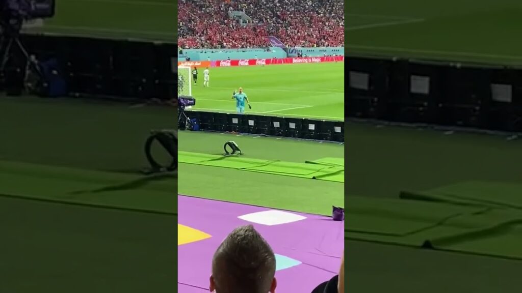 Fans chanting 'Borjan is an Ustaše', referring to the pro-Nazi regime which exterminated Serbs