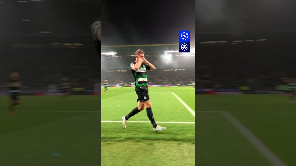 🤩 POV: Champions League nights