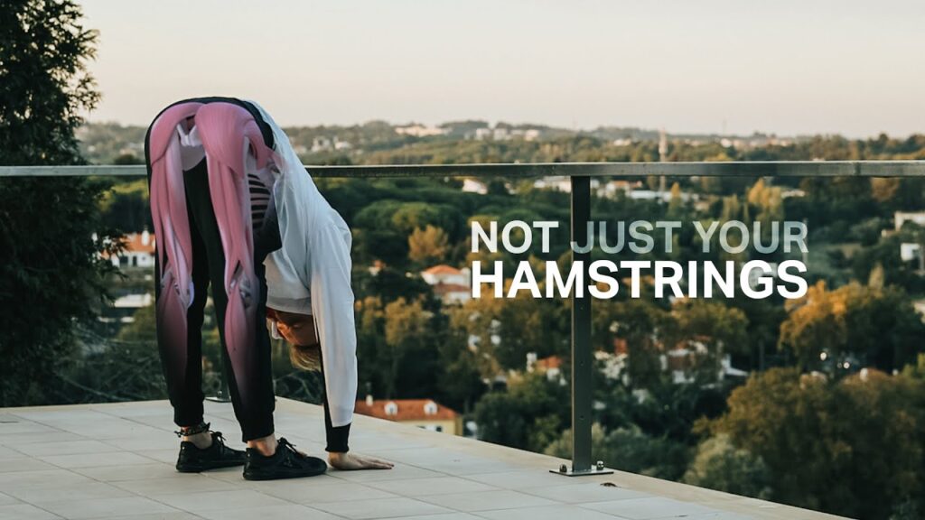 Mechanics of Touching Your Toes (with hands or head)