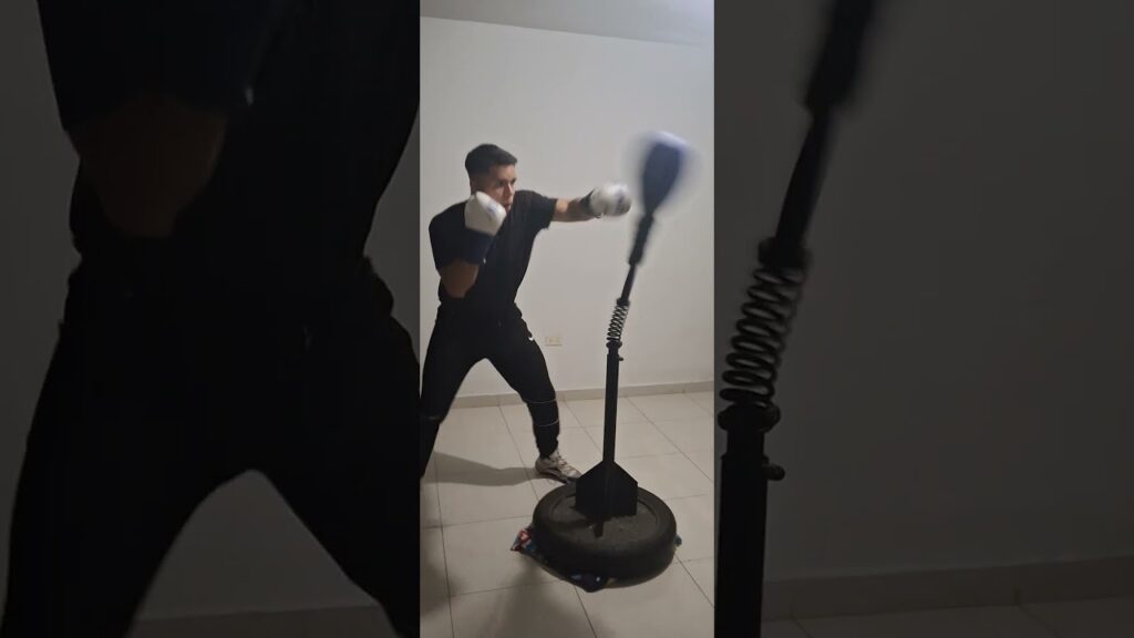 Reflex cobra bag work 11/20/24