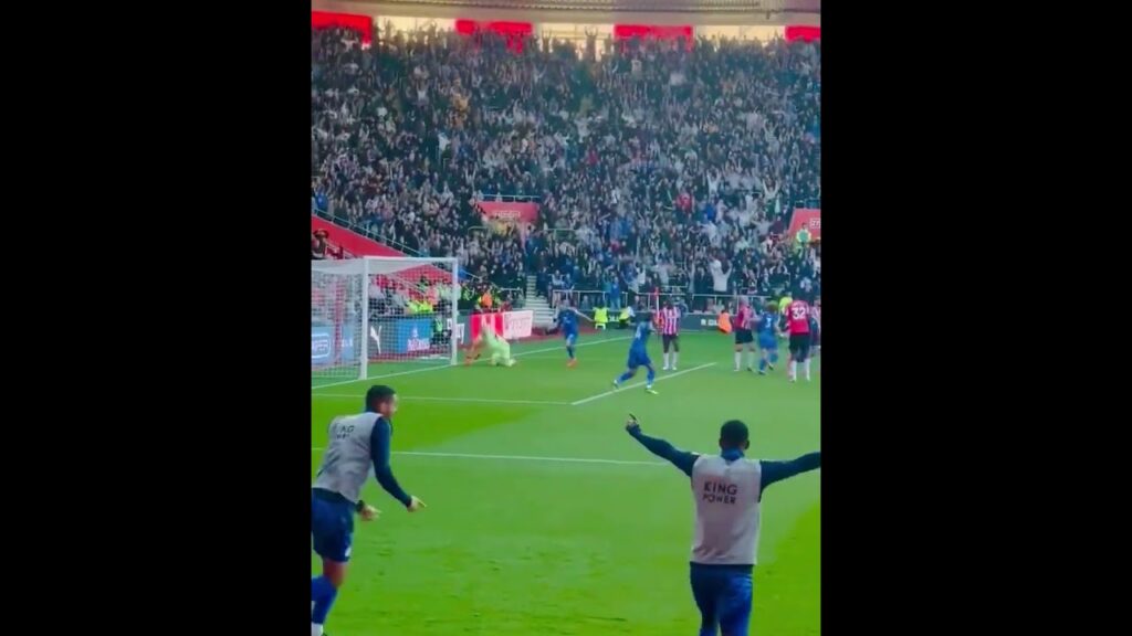 Jordan Ayew winner against Southampton