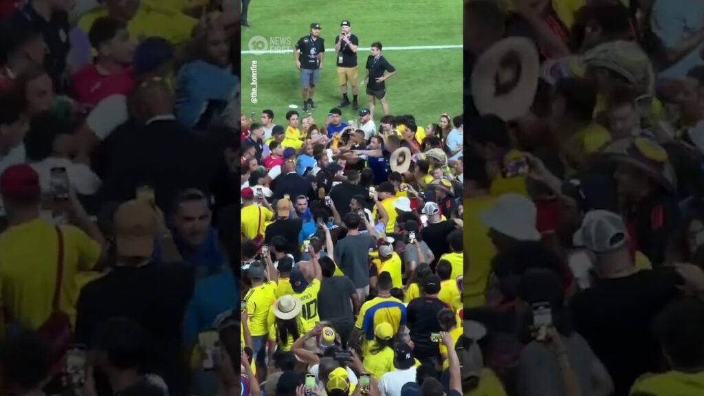 Darwin Núñez Fights Colombian Fans | 10 News First