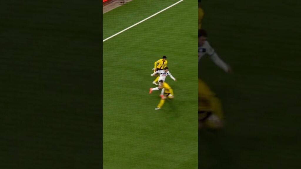 Samardžić solo goal 🥵🥵🥵