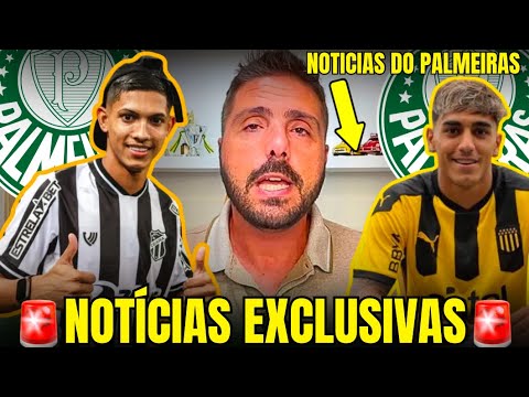 🚨EXCLUSIVO ERICK PULGA SERIA UMA BOA NO VERDÃO? | FACUNDO TORRES VEM? | NOTÍCIAS DO PALMEIRAS