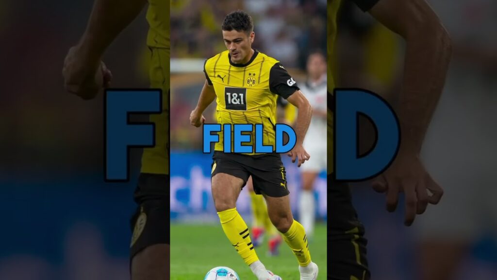 Gio Reyna returns to action with Dortmund! 🔥 👀 #gioreyna #FIFA #WorldCup #pulisic #soccer