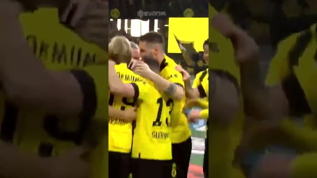 🟡⚫️Karim Adeyemi Gol Sevinci Yarım Kaldı 😂