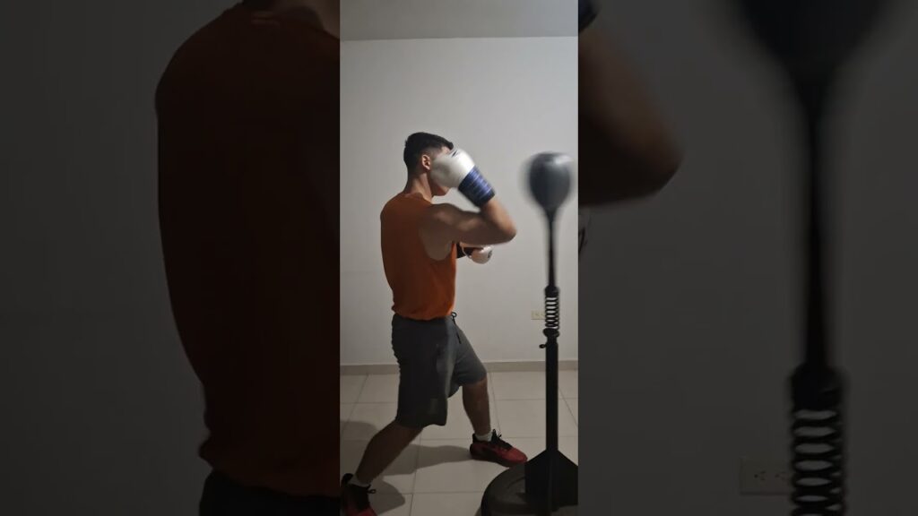 Reflex cobra bag work 11/28/24