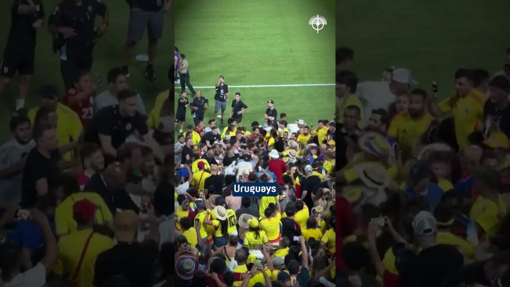 Darwin Núñez in Schlägerei verwickelt 😶#copaamerica #skandal #darwinnunez #nunez