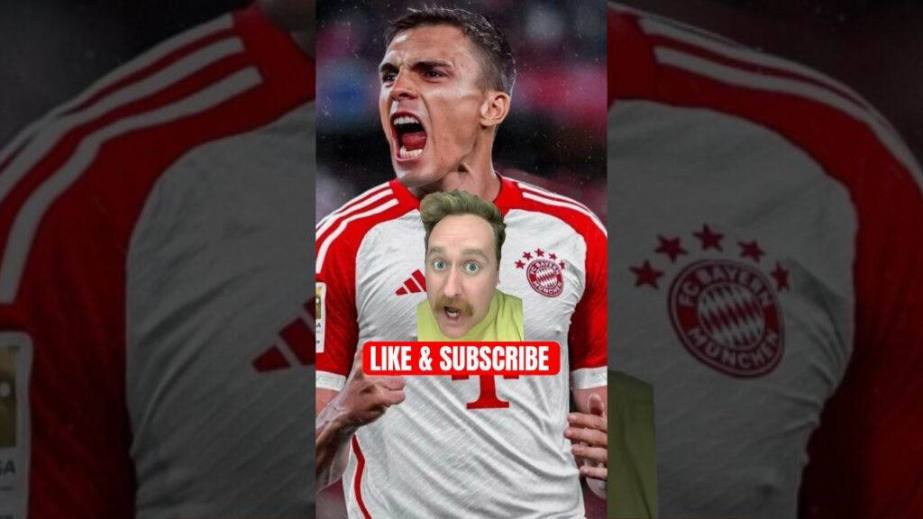 THE TRUTH ABOUT PALHINHA