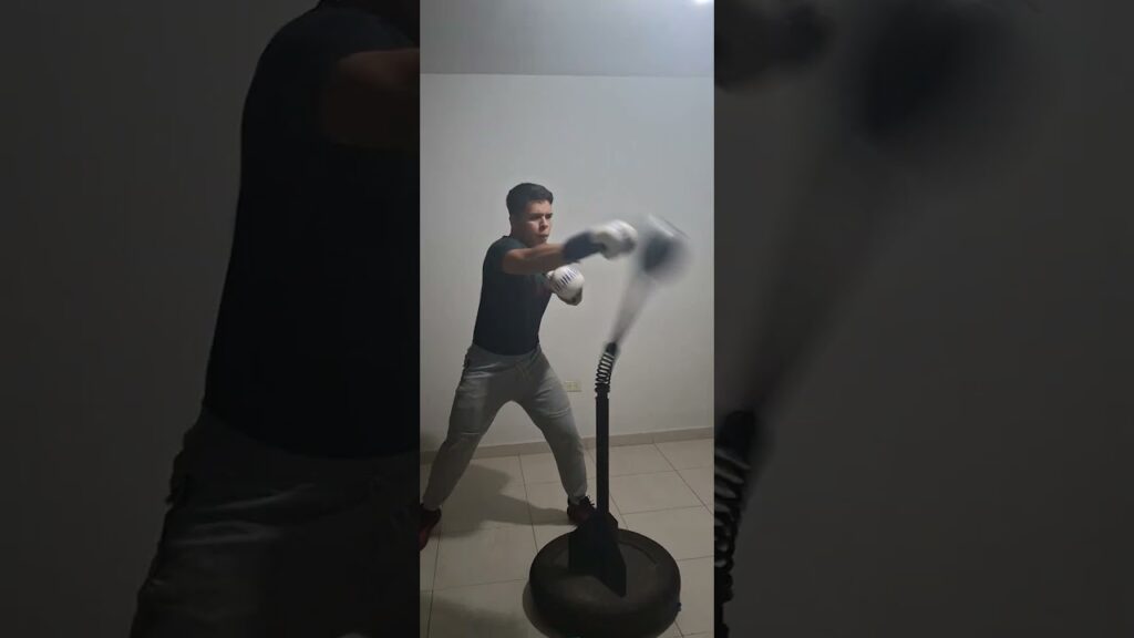 Reflex cobra bag work 11/30/24