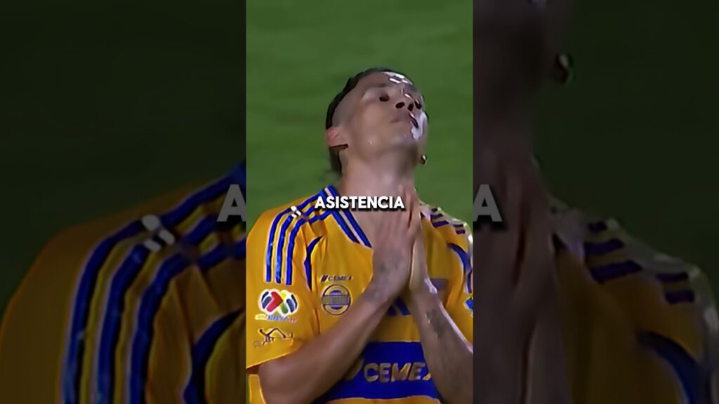 TIGRES SE ARREPIENTE DE LLEVARSE A URIEL ANTUNA #cruzazul #shorts