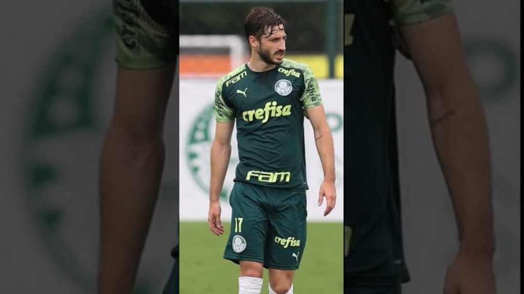 Matias vina traiu o Palmeiras com o flamengo!#futebol #edit #brasil