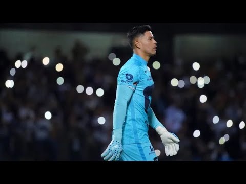 Alfredo talavera Career highlights