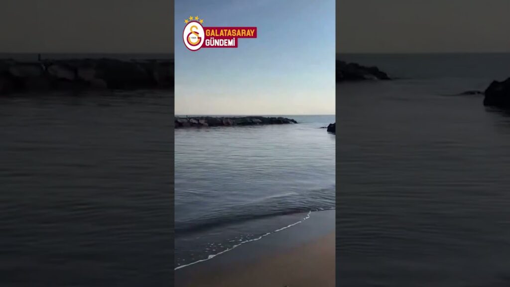 Dries Mertens, izinli gününü Napoli'de geçiriyor #shorts #galatasaray