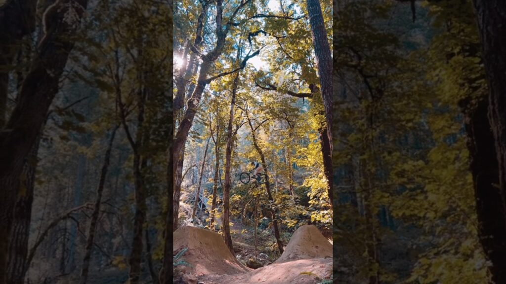 What do you think! #mtb #dirtjumps #bike