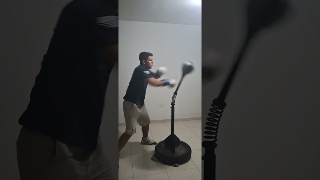 Reflex cobra bag work 12/07/24