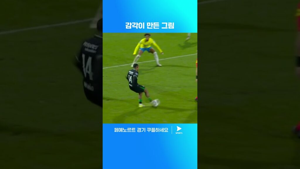 센스있는 퍼스트 터치로 시즌 두 번째 어시스트를 기록한 황인범 | 에레디비시ㅣ발베이크 vs 페예노르트