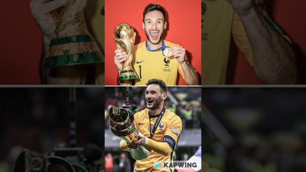 Biografi Hugo Lloris