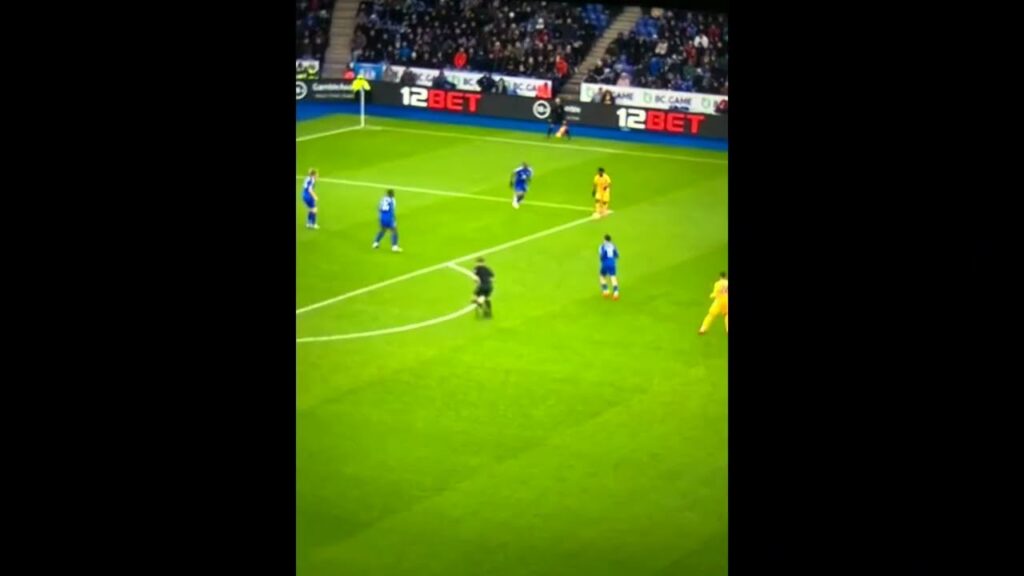 Goal Tariq Lamptey 0-1 Leicester City vs Brighton