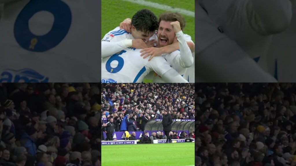 Farke and Elland Road enjoy Rodon and Wober goals #lufc