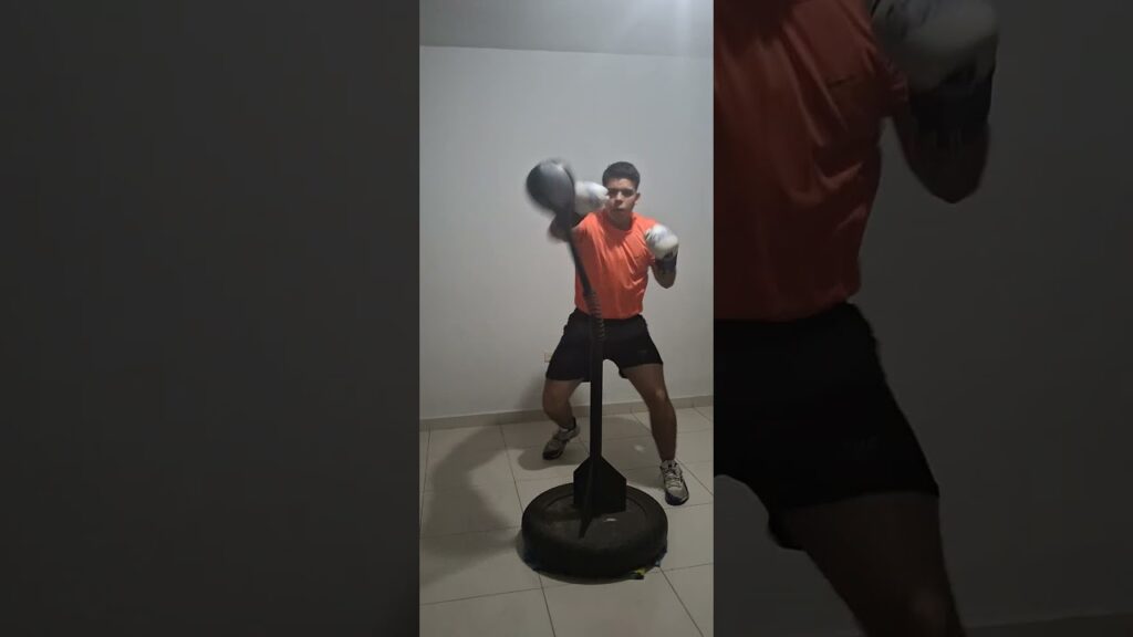 Reflex cobra bag work 12/12/24