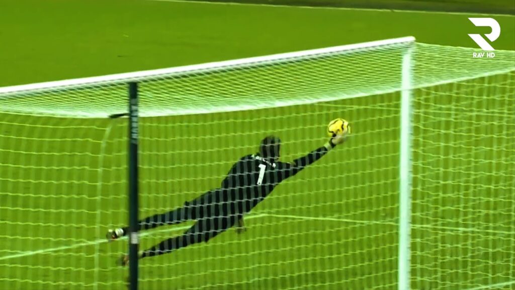 Alisson Becker 2020 • Enjoy These Saves!