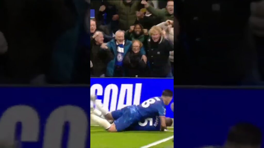 NICOLAS JACKSON KEEPS THE BEES AT BAY 🐝