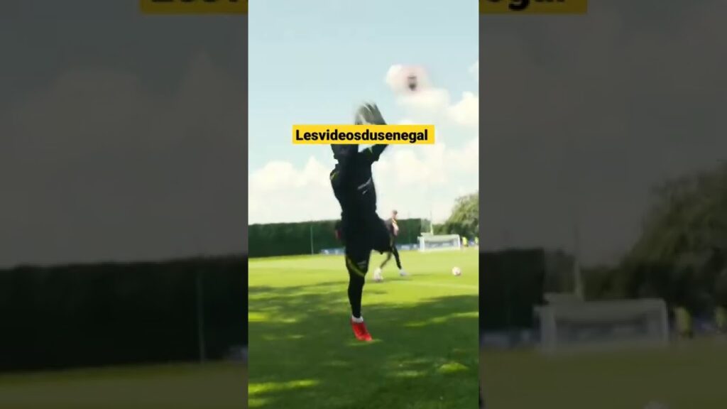 EDOUARD MENDY BEST GOALKEEPER IN THE WORLD ! CHAMPION D'AFRIQUE