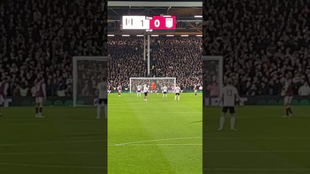 Aleksandar Mitrović Goal Vs Aston Villa From The Stands