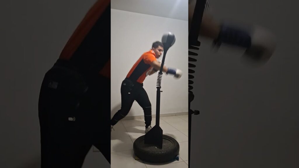 Reflex cobra bag work 12-16-24  #boxing #ryangarcia #boxingnews #boxingequipment #boxinggear