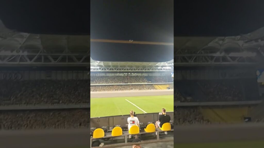 Söyle ona Sebastian #szymanski #fenerbahçe #edindzeko #dusantadic #dusantadic #livakovic