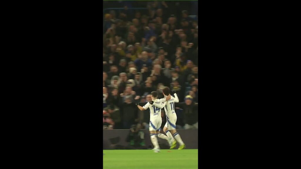 Lovely touch and finish Brenden Aaronson! #lufc