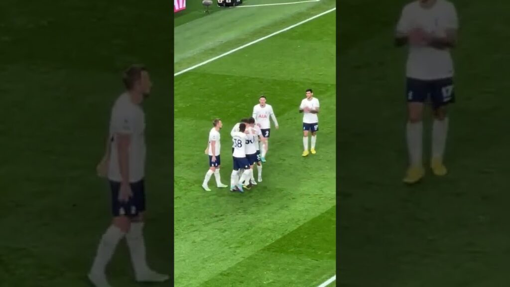 Tottenham vs Everton 2-0|  Pierre-Emile Hojbjerg Goal