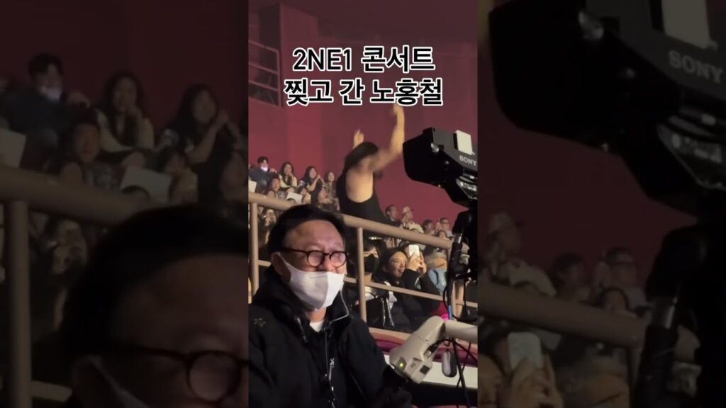 2NE1 콘서트 찢고간 노홍철